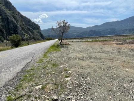 Dalyan Iztuzu Beach Road Zero 19,600M2 Field Land For Sale