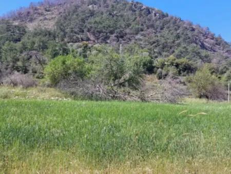 Marmaris Turgut Investment Land For Sale 29600M2 For Sale