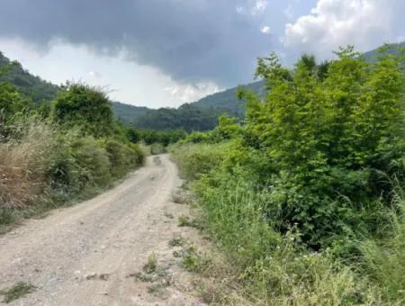 7800M2 Land For Sale At The Beginning Of Iztuzu Beach Road In Gökbel