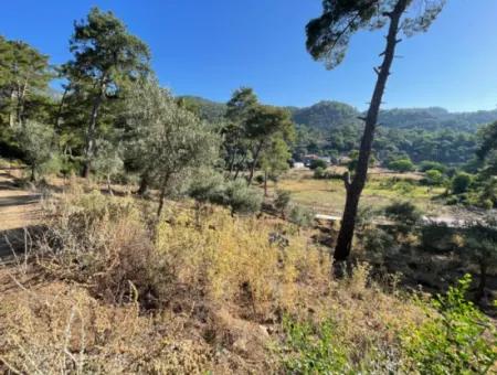 1,320M2 Field For Sale In Çandır Center By The Forest