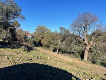 2B Land For Sale With Sea View In Çandır