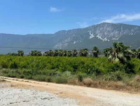 13,500M2 Roadfront Field For Sale In Akyaka Akçapınar