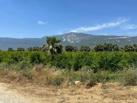 13,500M2 Roadfront Field For Sale In Akyaka Akçapınar