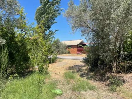 Road-New 6820M2 Pomegranate And Lemon Orchard Is For Sale In Tepearası