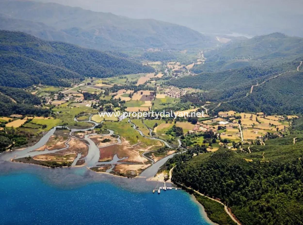 Çamlıda Satılık Arsa Arazi Marmaris Çamlıda Deniz Manzaralı 11720M2 Satılık Arsa