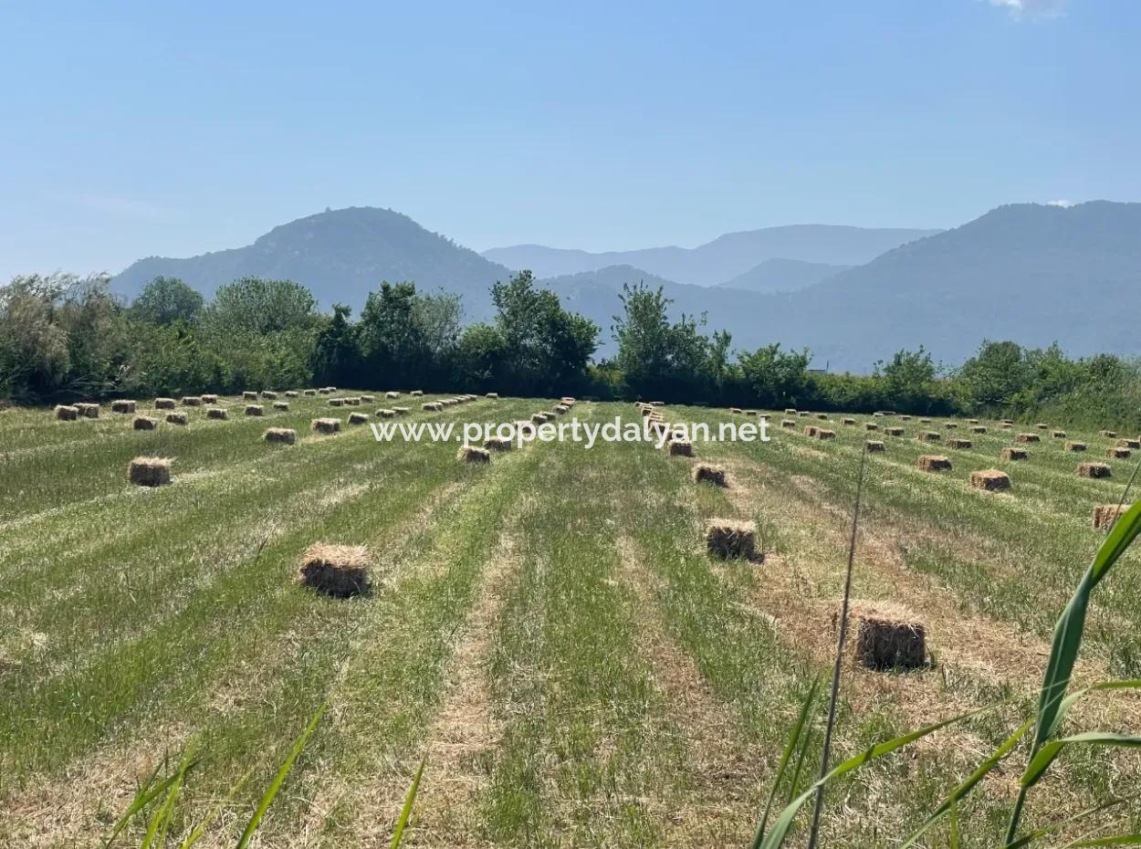 Dalyan'da İztuzu Yoluna Sıfır 6,500M2 Satılık Tarla