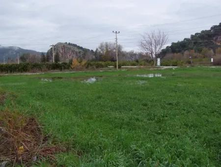 Dalyan Gülpınar Satılık Arsa Dalyan 1,002M2 Satılık Köşenası Satılık Arsa