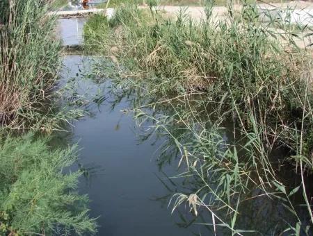 Dalyan İztuzu Satılık Bahçe Dalyan Göle Sıfır Satılık Arsa