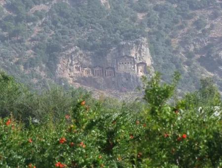 Dalyan İztuzu Satılık Bahçe Dalyan Göle Sıfır Satılık Arsa