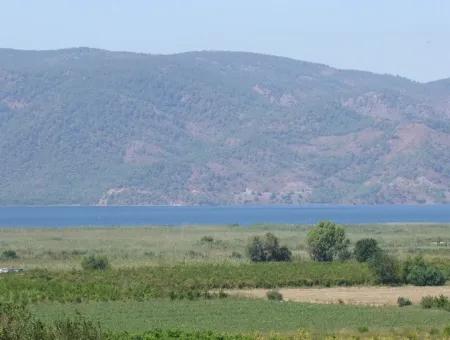 Dalyan Satılık Tarla Dalyan 73410M2 Satılık Tarla