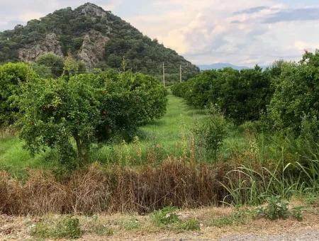 Dalyan Satılık Arsa Gülpınar 722M2 Satılık Arsa