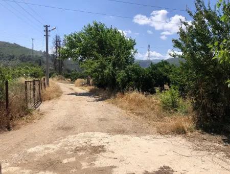 Akyaka Gökçe Satılık Bahçe Denize Yakın 38,000M2 Satılık Arsa