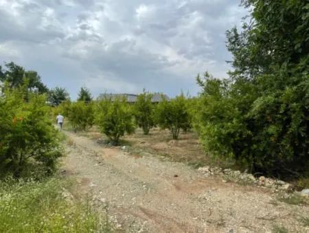 Dalyan''da Merkeze Yakın 2,528M2 Satılık Tarla