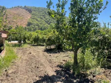 Tepearasın'da Yol Sıfır 6820M2 Nar Ve Limon Bahçesi Satılıktır